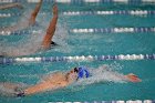 Swim vs Bentley  Wheaton College Swimming & Diving vs Bentley University. - Photo by Keith Nordstrom : Wheaton, Swimming & Diving